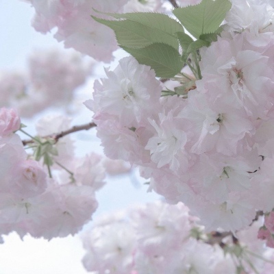 武穴FurryQQ群介绍